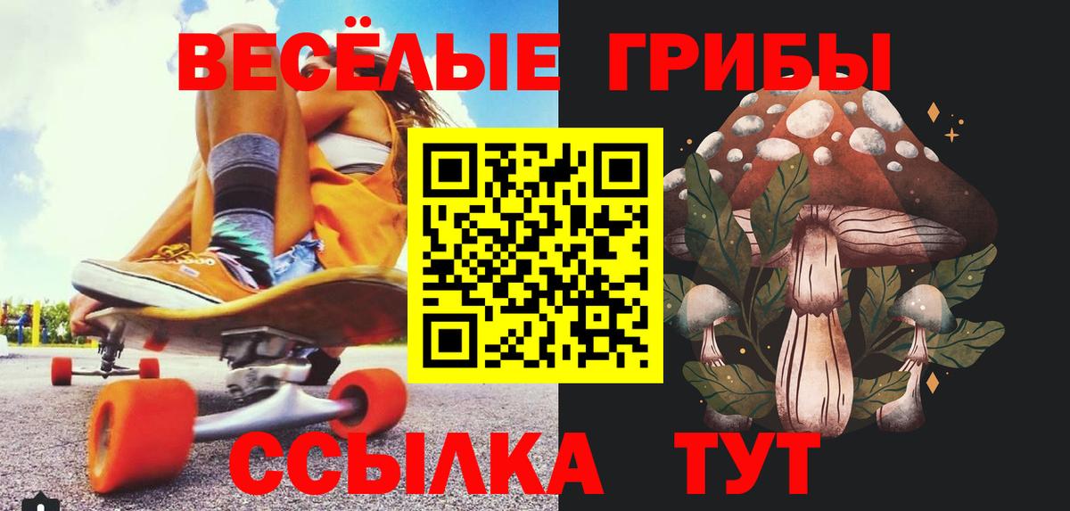 Чернушка  Псилоцибиновые грибы MAGIC MUSHROOMS  Вход с VPN 