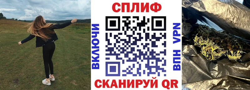 Бошки Шишки тримм  Чернушка 